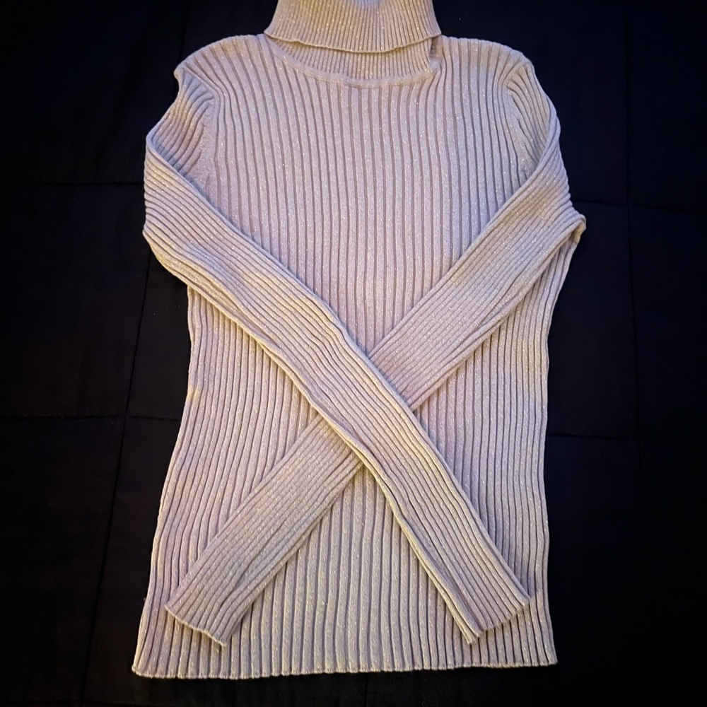 Sparkly Silver ribbed Turtleneck Sweater